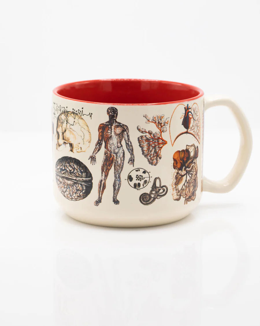 Vascular Anatomy 15 oz Ceramic Mug - Stemcell Science Shop