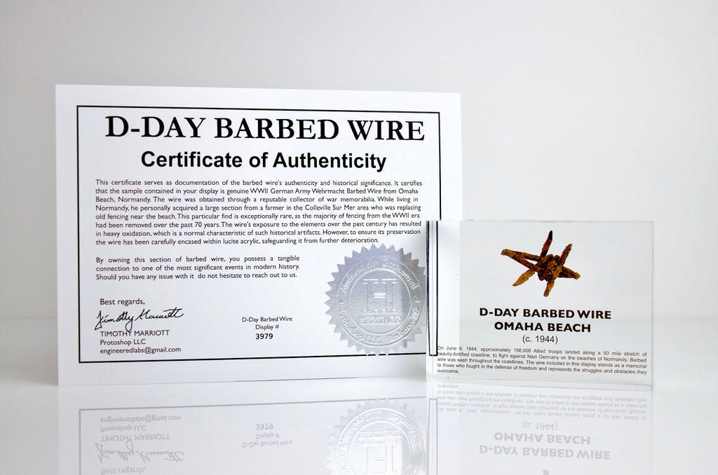 D-Day Barbed Wire Artifact Display