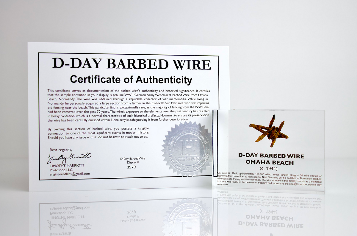 D-Day Barbed Wire Artifact Display