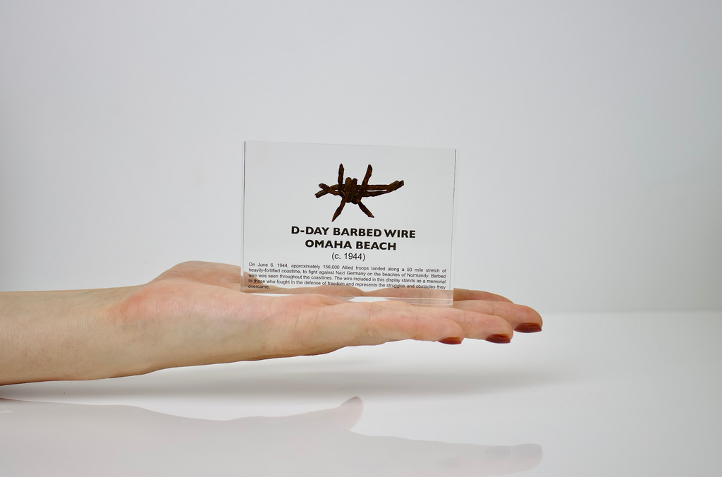 D-Day Barbed Wire Artifact Display