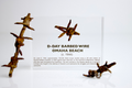 D-Day Barbed Wire Artifact Display