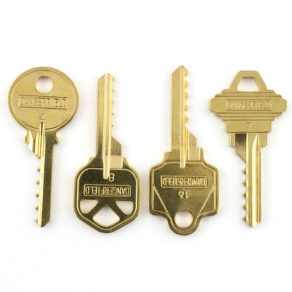 Bump Keys - Dangerfield (Set of 4)
