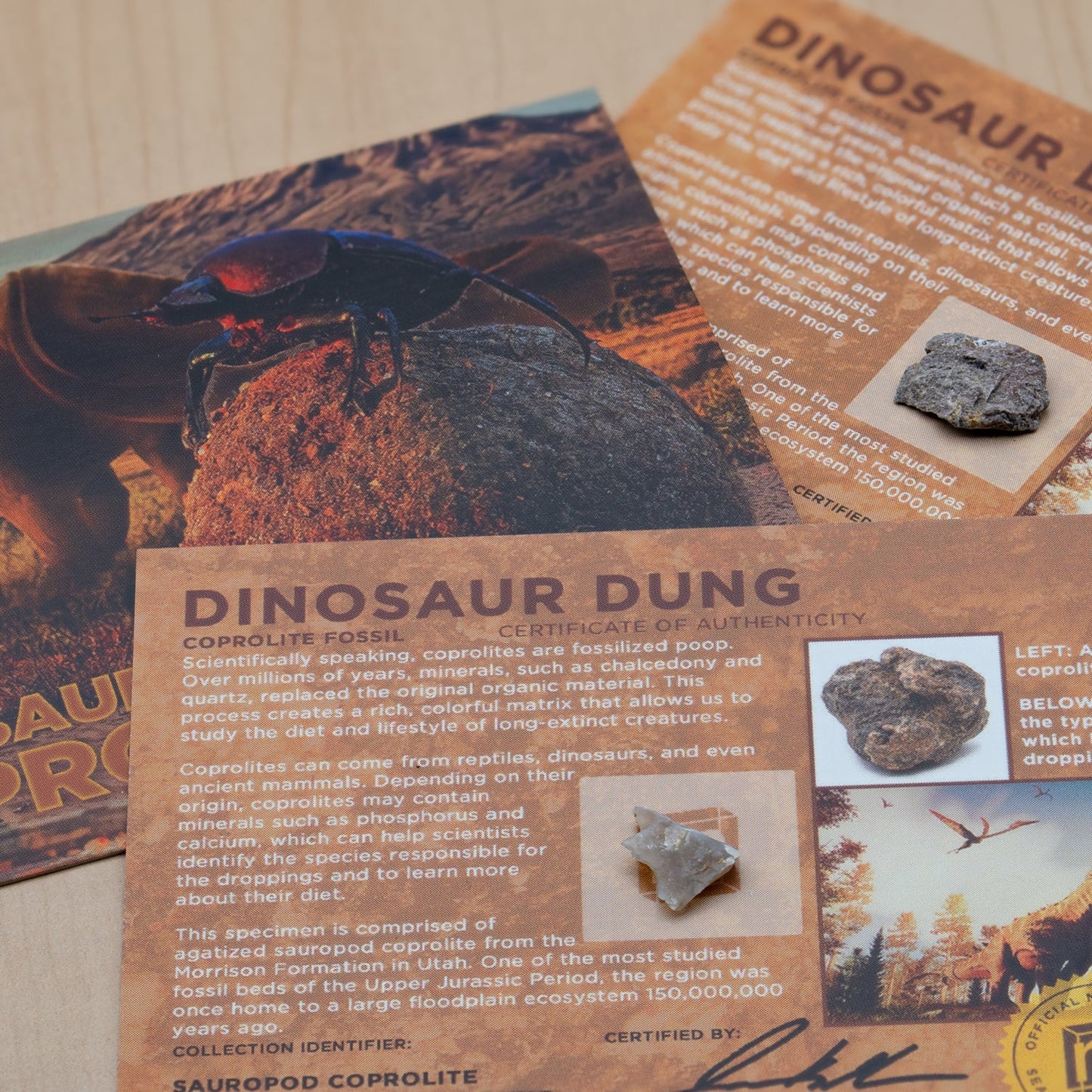 Dinosaur Dung - Card Display - Authentic Fossil Poop