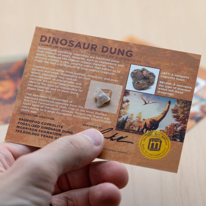 Dinosaur Dung - Card Display - Authentic Fossil Poop