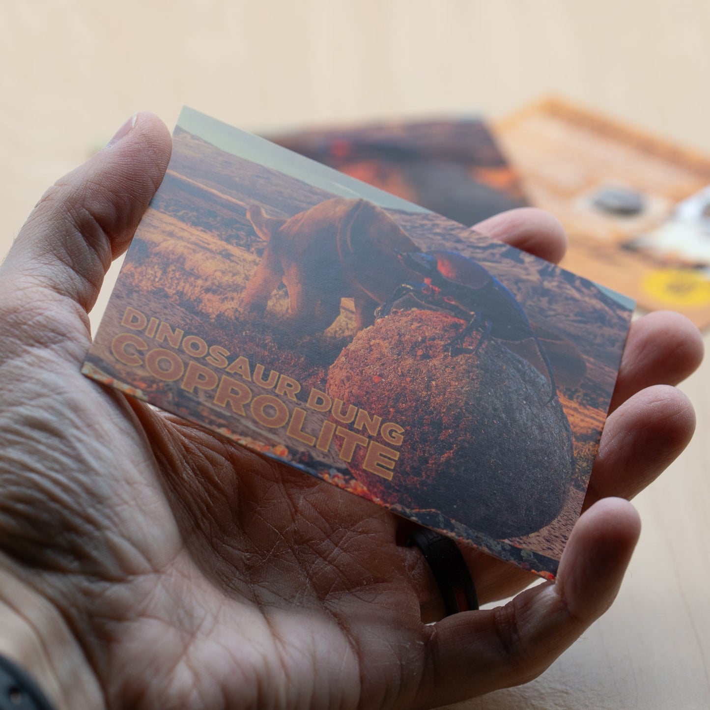 Dinosaur Dung - Card Display - Authentic Fossil Poop