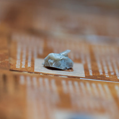 Dinosaur Dung - Card Display - Authentic Fossil Poop