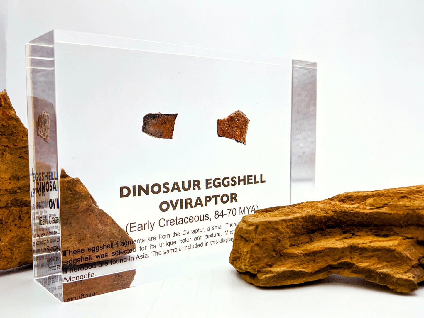 Dinosaur Eggshell Oviraptor