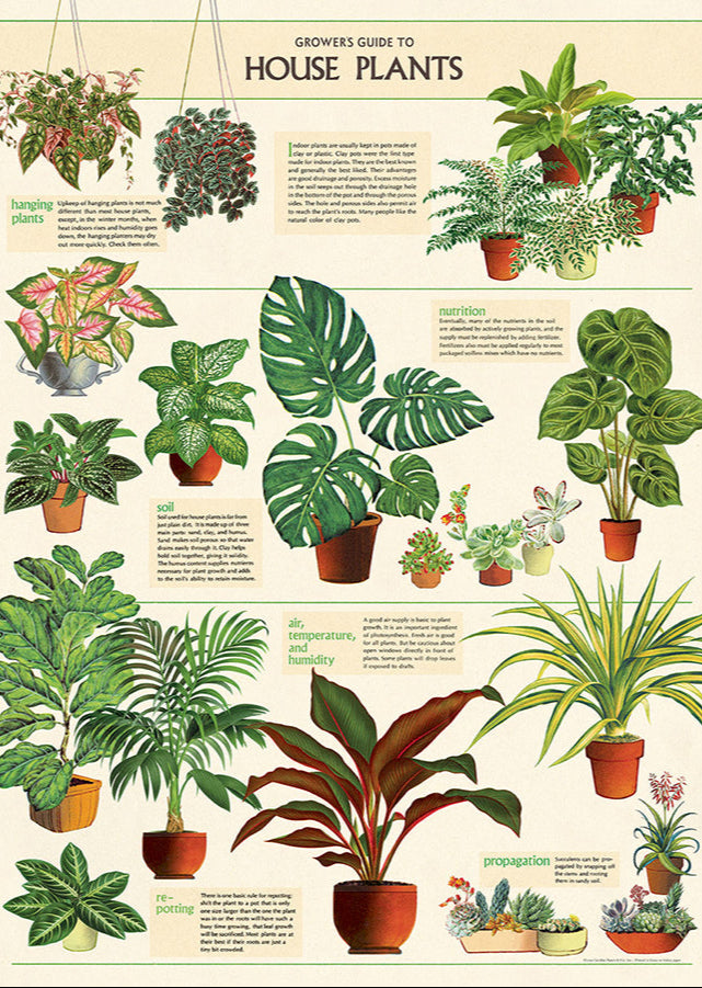 House Plants Scientific Chart - Stemcell Science Shop