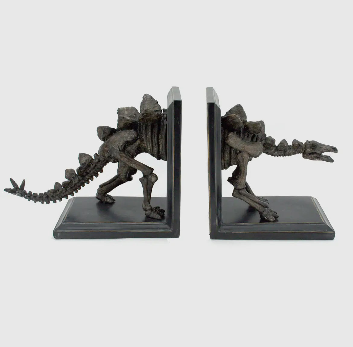Stegosaurus Skeleton Bookend Set