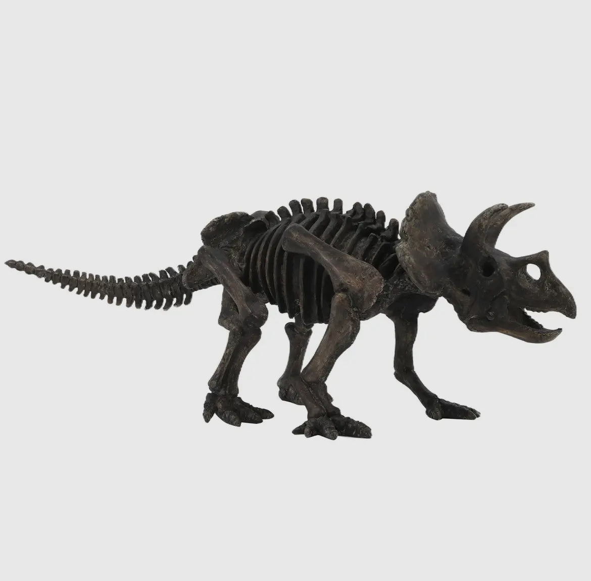 Triceratops Mini Skeleton Dinosaur Fossil Replica
