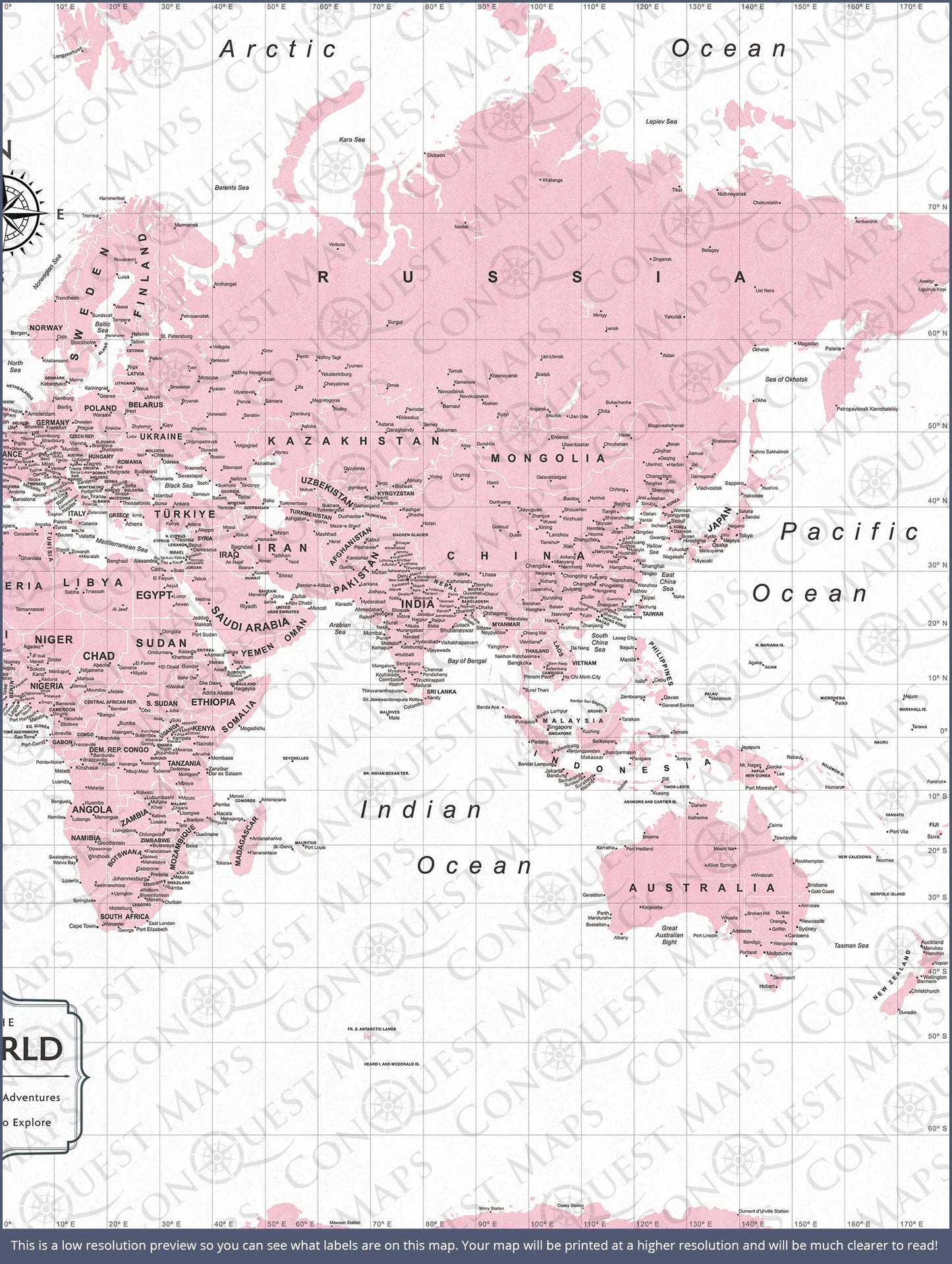 Push Pin World Map: Pink (Pins Included)