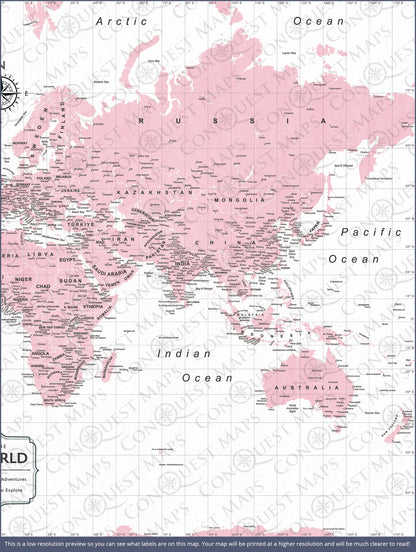 Push Pin World Map: Pink (Pins Included)