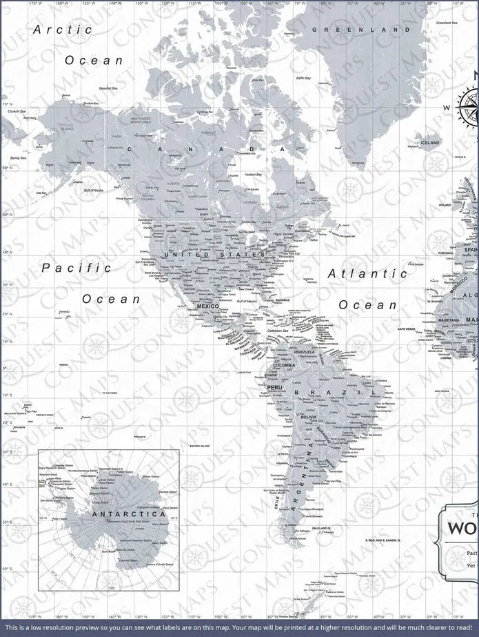 Push Pin World Map: Light Gray (Pins Included)