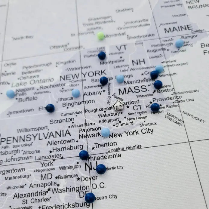 Push Pin World Map: Light Gray (Pins Included)