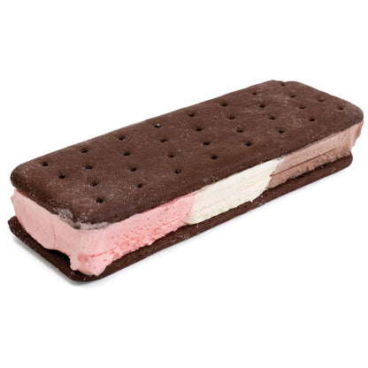 Freeze Dried Ice Cream Sandwich