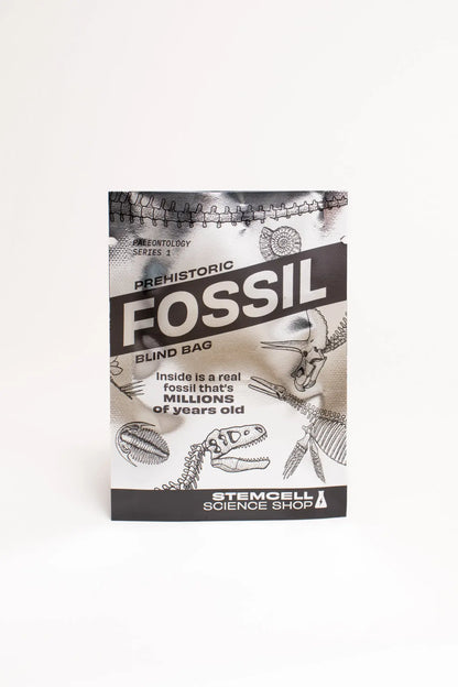 Fossil Blind Bag - Stemcell Science Shop