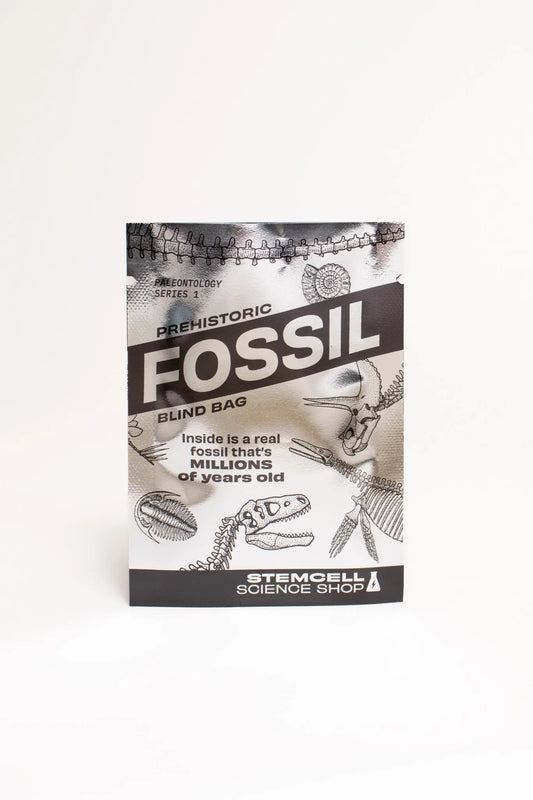 Fossil Blind Bag - Stemcell Science Shop