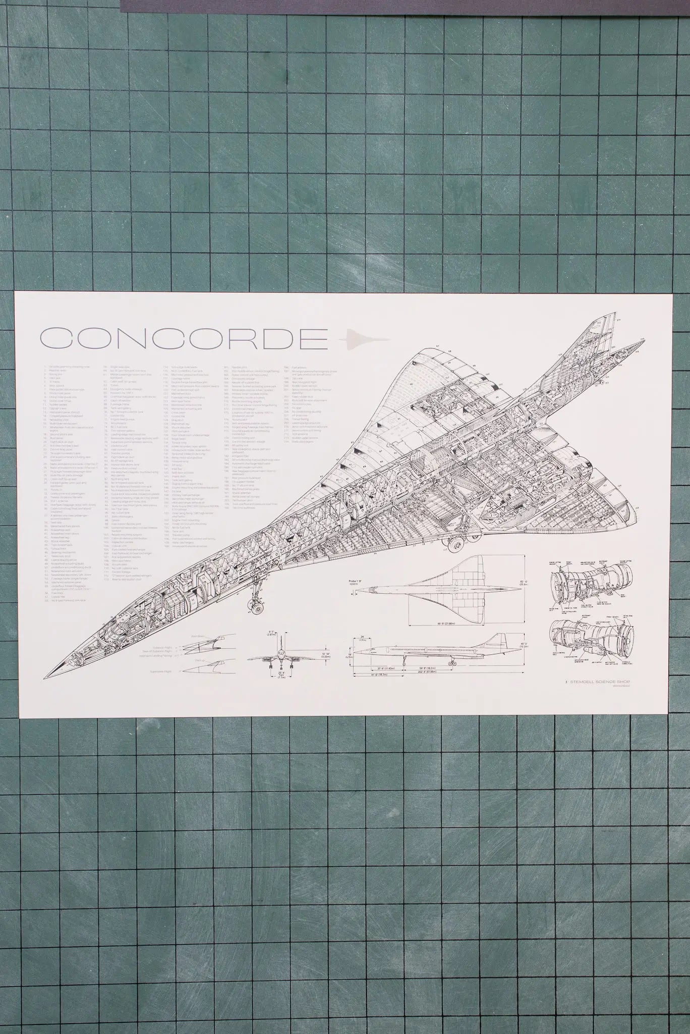 Concorde Supersonic Airliner Schematic - Stemcell Science Shop