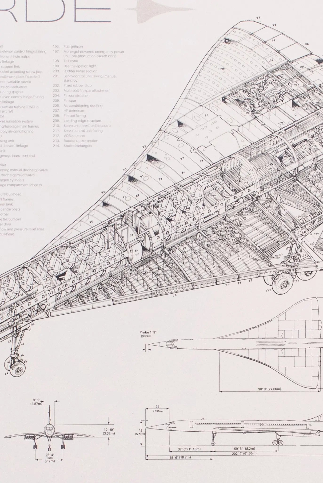 Concorde Supersonic Airliner Schematic - Stemcell Science Shop