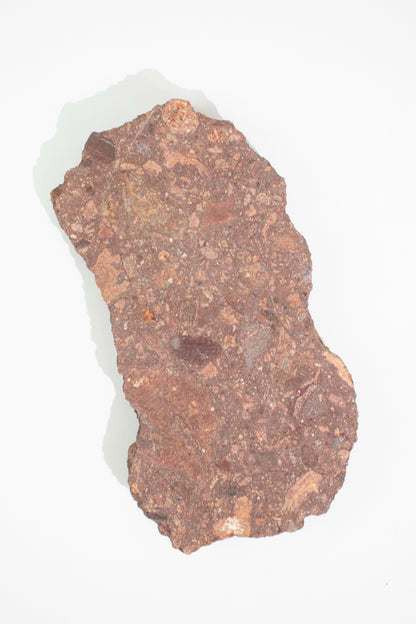 Suevite Fragment