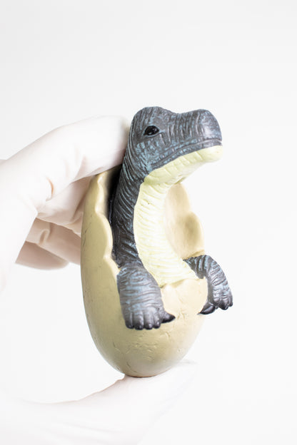 Baby Brachiosaurus Magnet