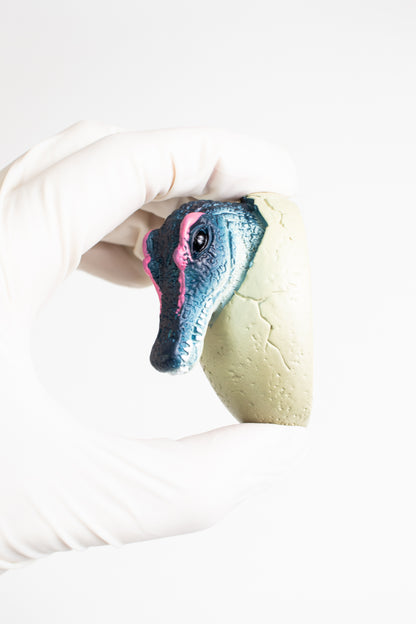 Baby Spinosaurus Magnet