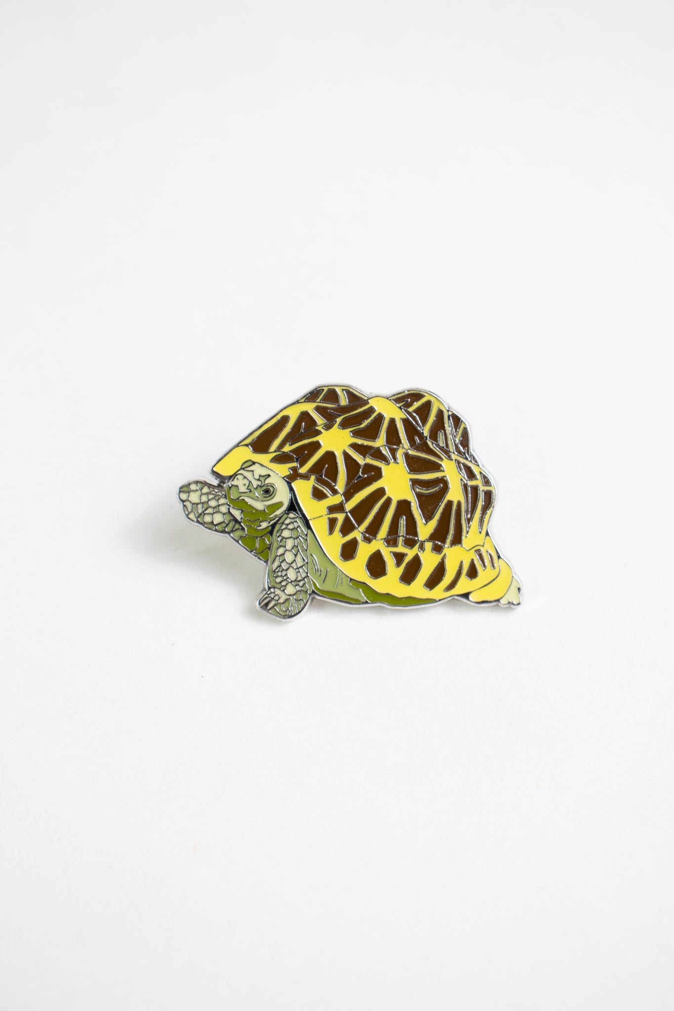 Indian Star Tortoise Enamel Pin