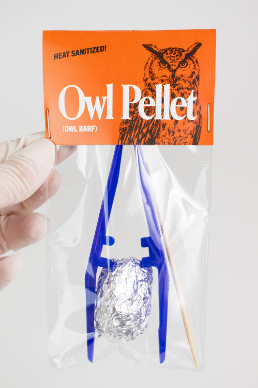 Owl Pellet Dissection Kit