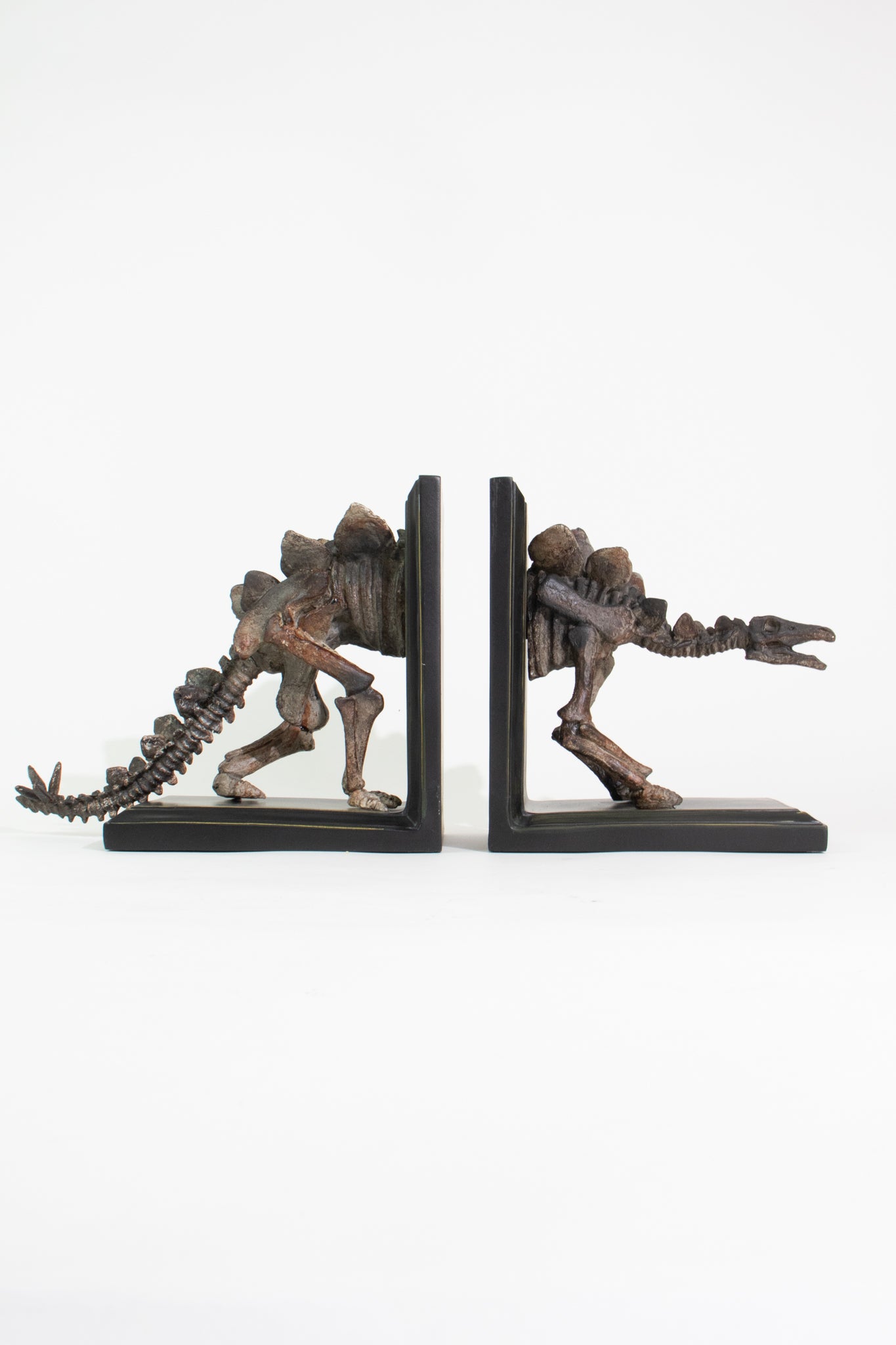 Stegosaurus Skeleton Bookend Set