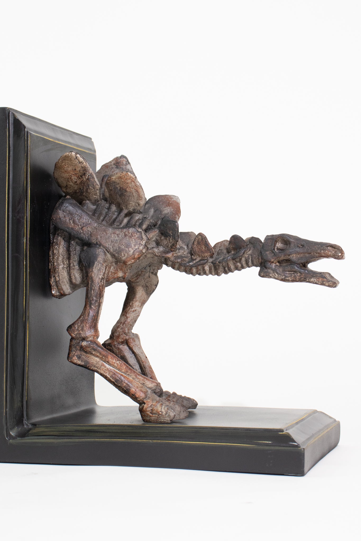 Stegosaurus Skeleton Bookend Set