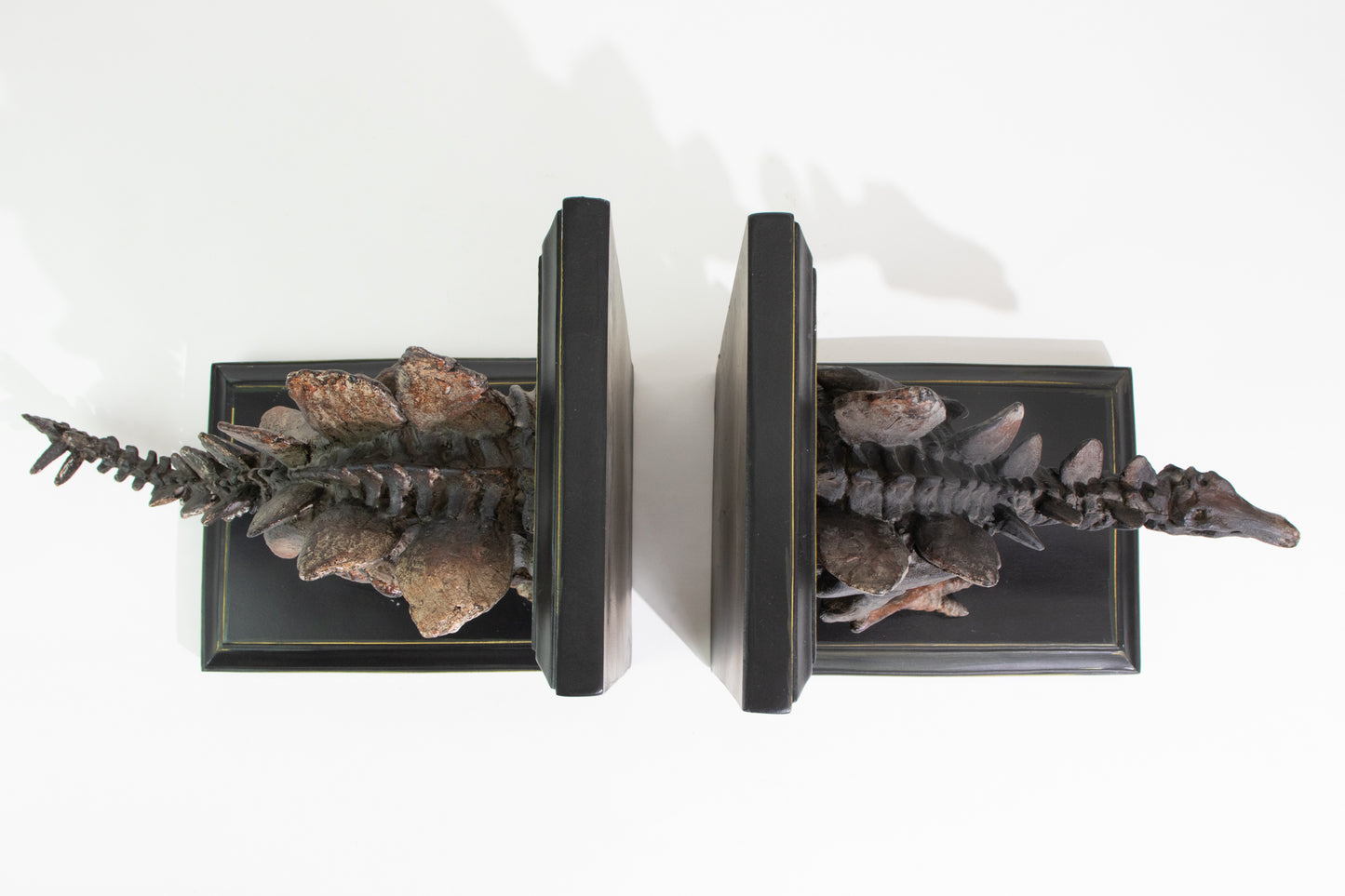 Stegosaurus Skeleton Bookend Set