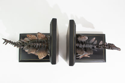 Stegosaurus Skeleton Bookend Set