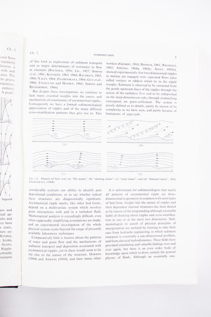 Current Ripples Their Relation to Patterns of Water and Sediment Motion