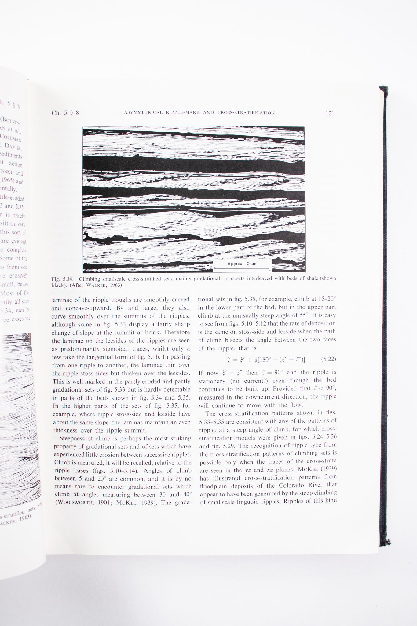 Current Ripples Their Relation to Patterns of Water and Sediment Motion