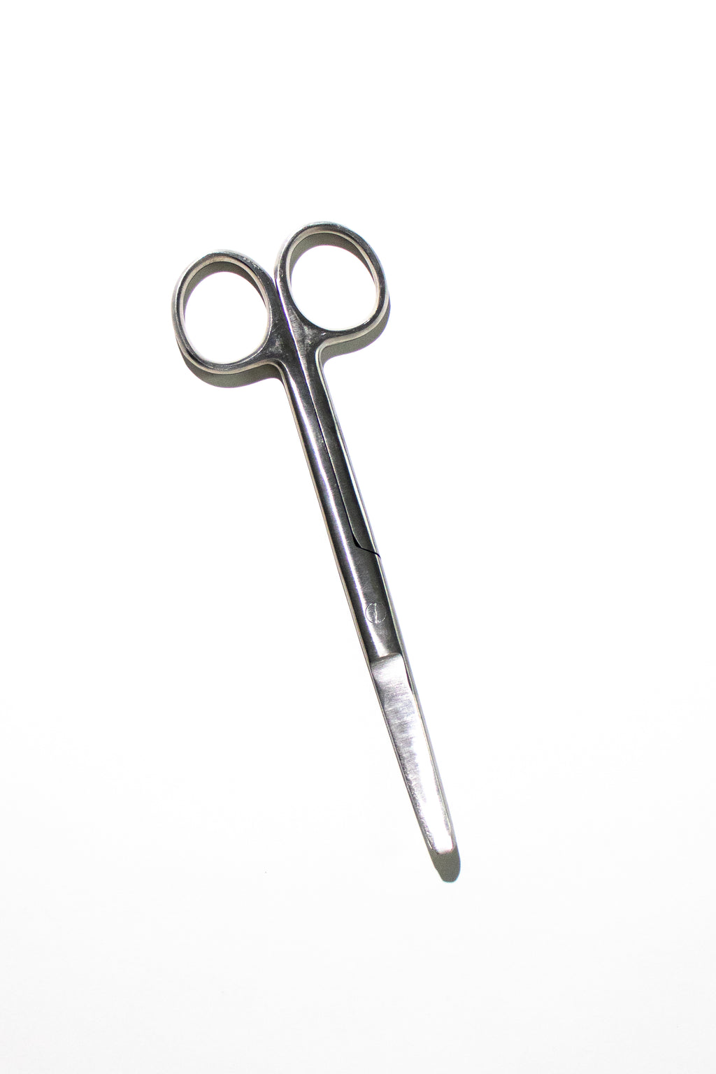 Large Surgical Scissors - 6.5", Default Title at Stemcell Science Shop