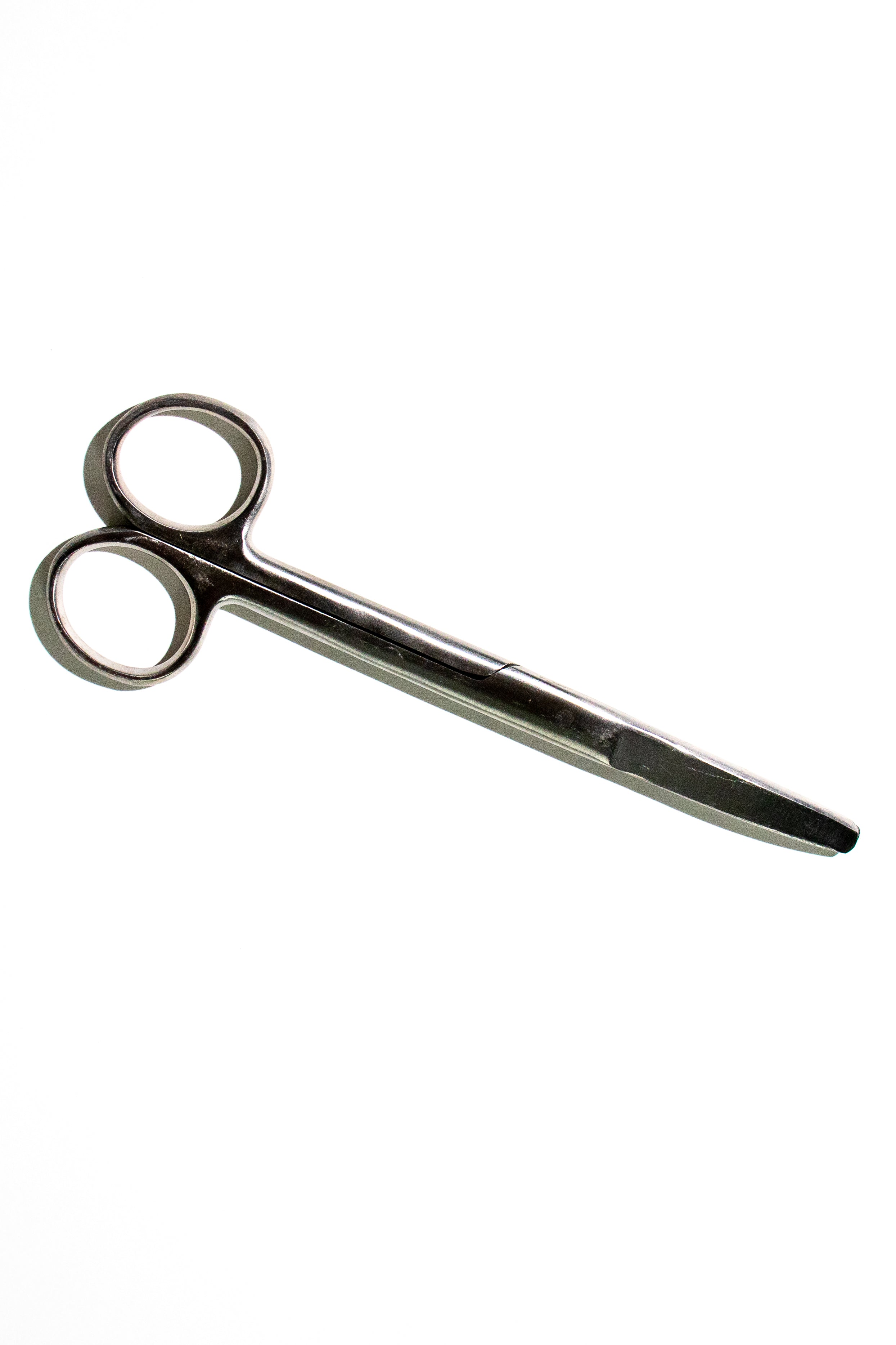 Large Surgical Scissors - 6.5", Default Title at Stemcell Science Shop