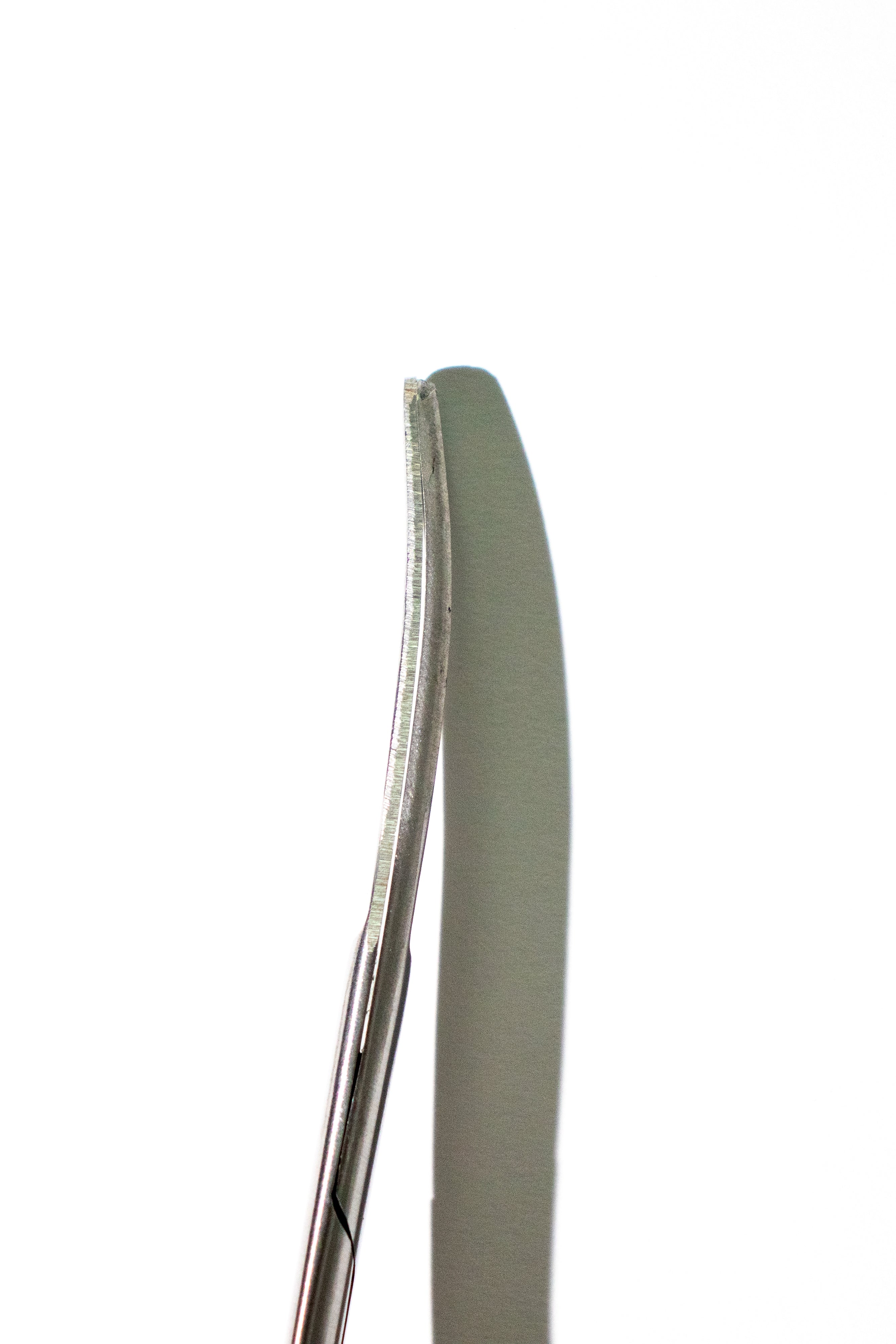Large Surgical Scissors - 6.5", Default Title at Stemcell Science Shop