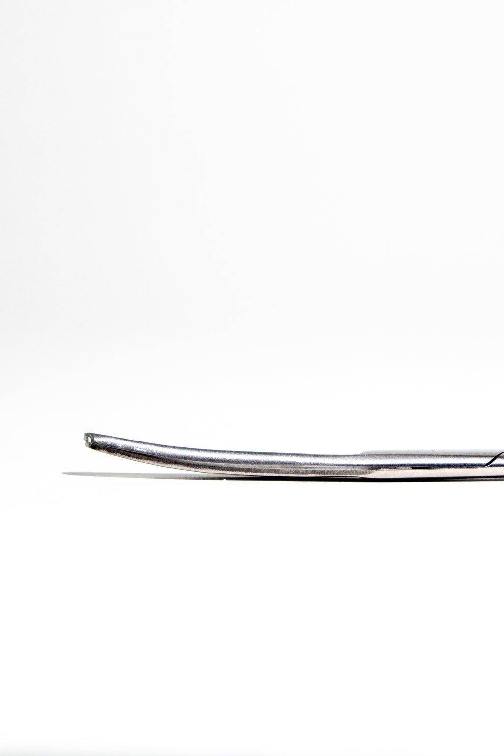 Large Surgical Scissors - 6.5", Default Title at Stemcell Science Shop