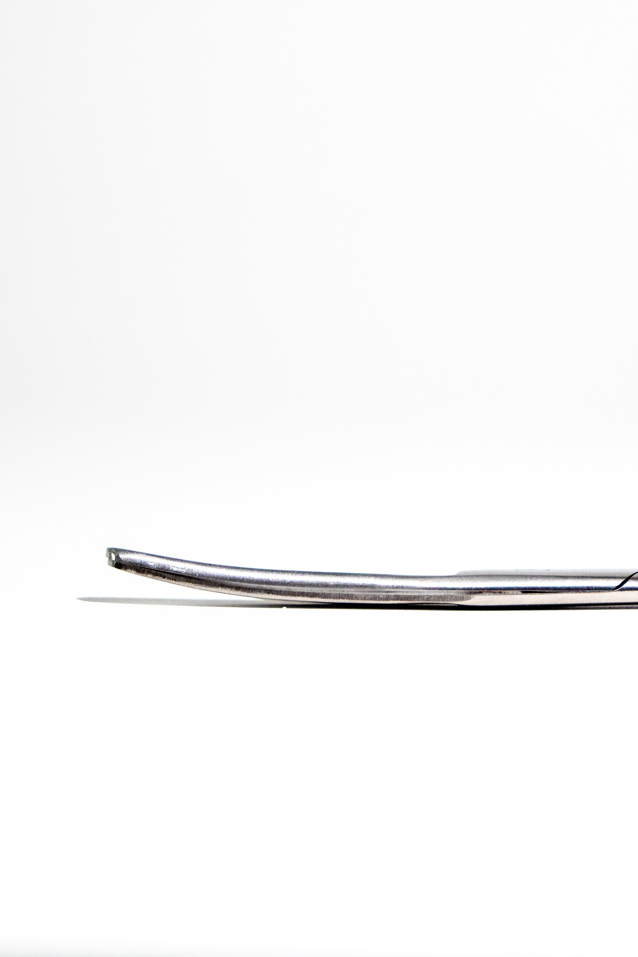 Large Surgical Scissors - 6.5", Default Title at Stemcell Science Shop
