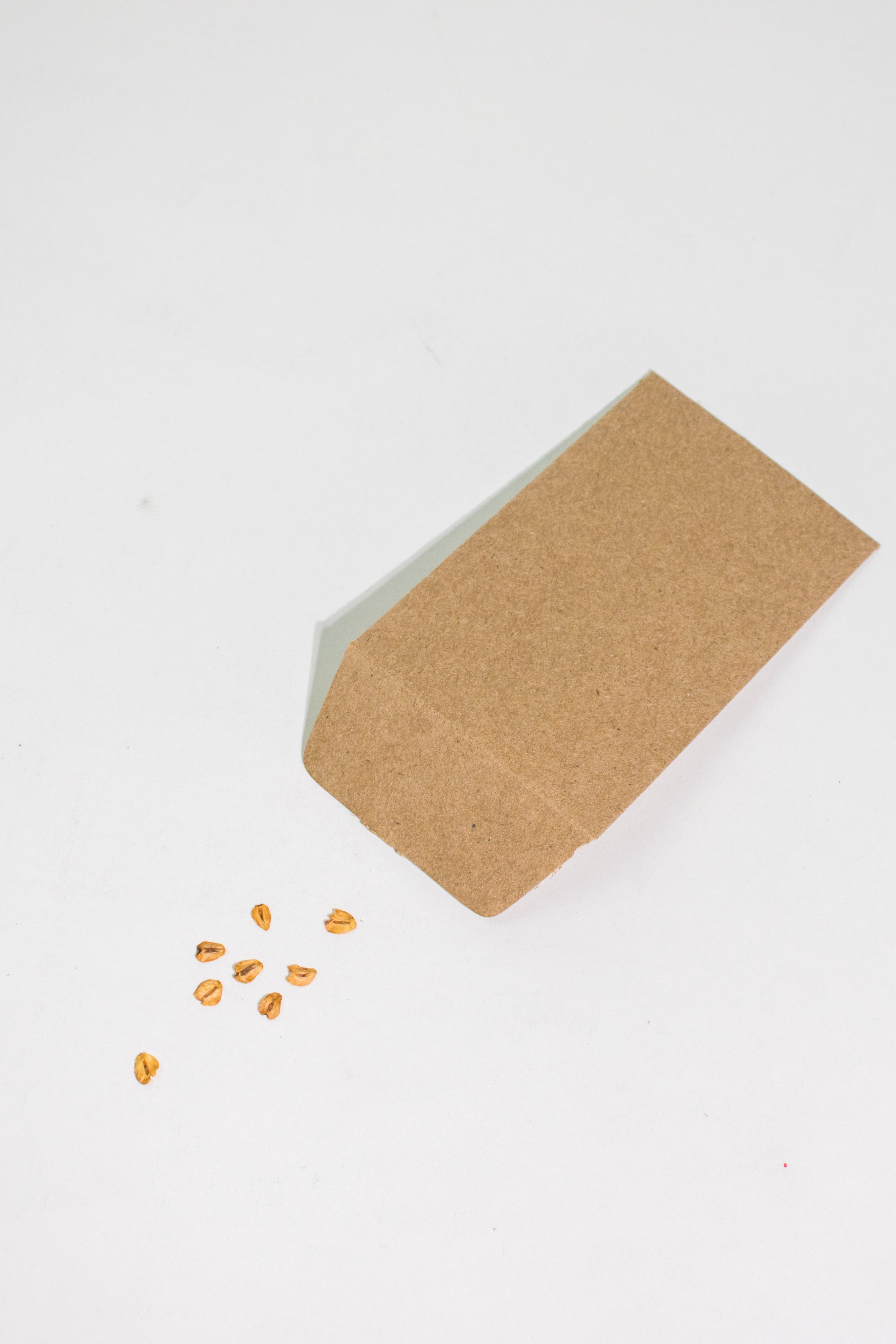 Giant Sequoia Seeds, Default Title at Stemcell Science Shop
