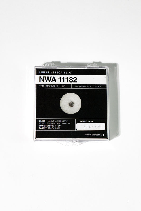 Lunar Meteorite NWA 11182