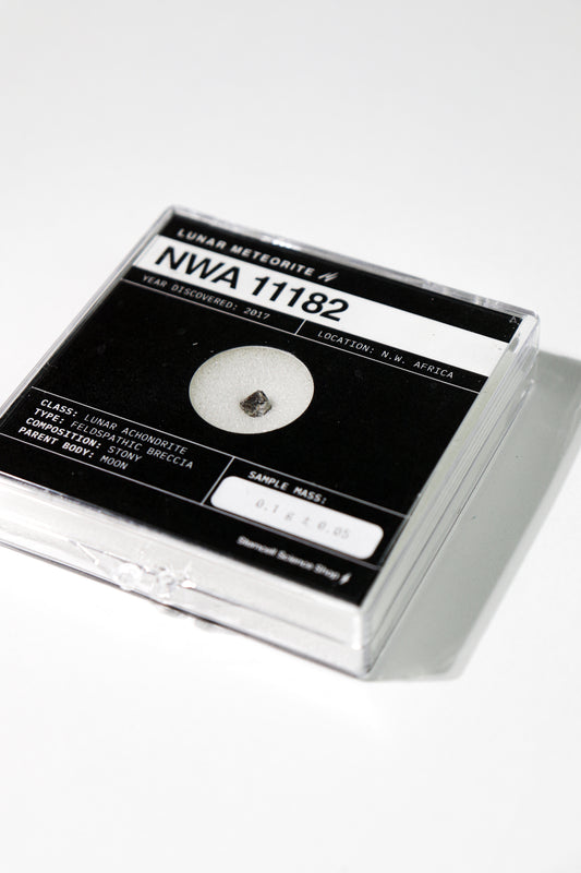 Lunar Meteorite NWA 11182
