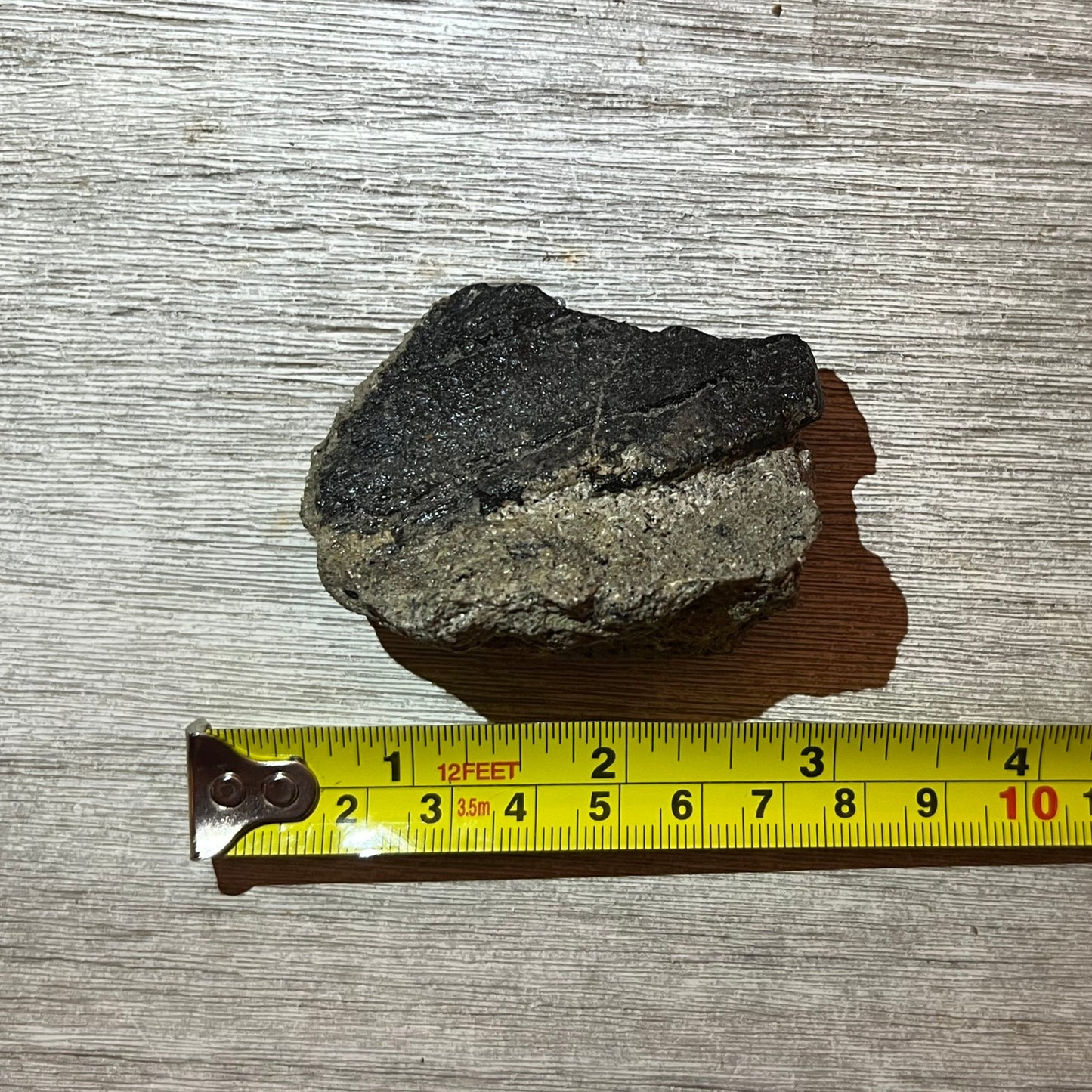 Camarasaurus? fossil bone fragment in matrix #5-007