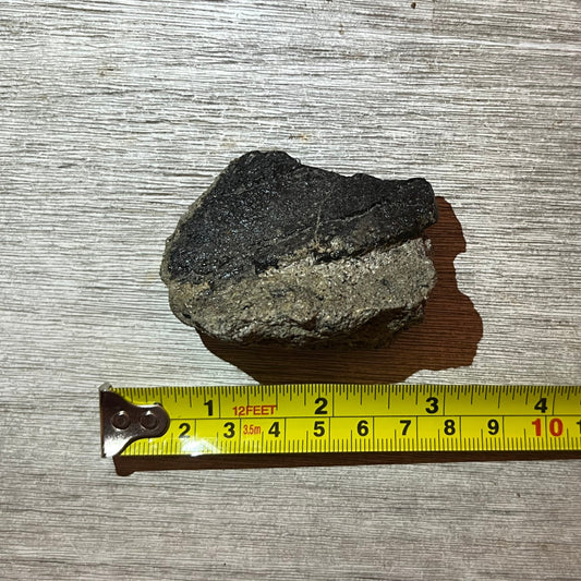 Camarasaurus? fossil bone fragment in matrix #5-007