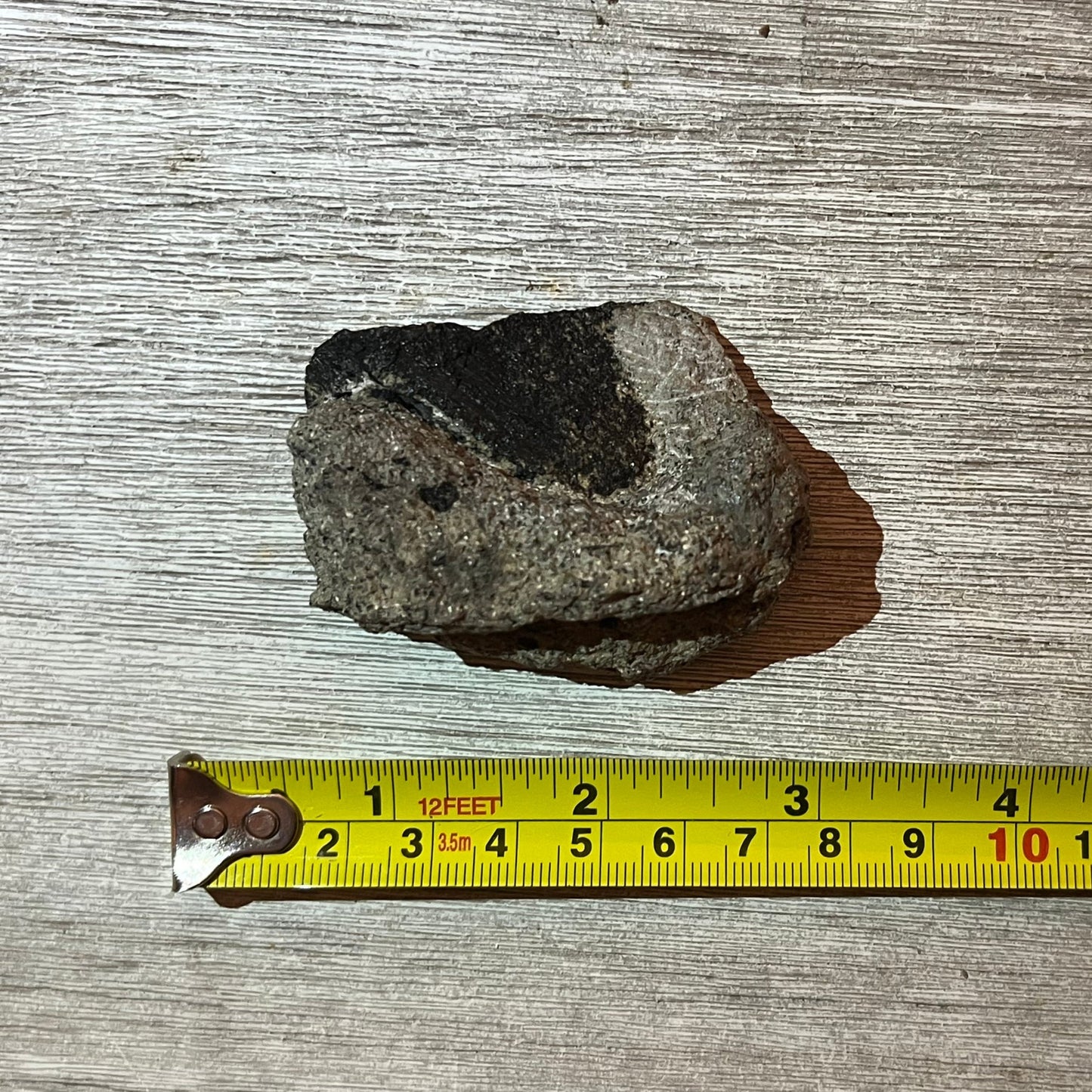 Camarasaurus? fossil bone fragment in matrix #5-007