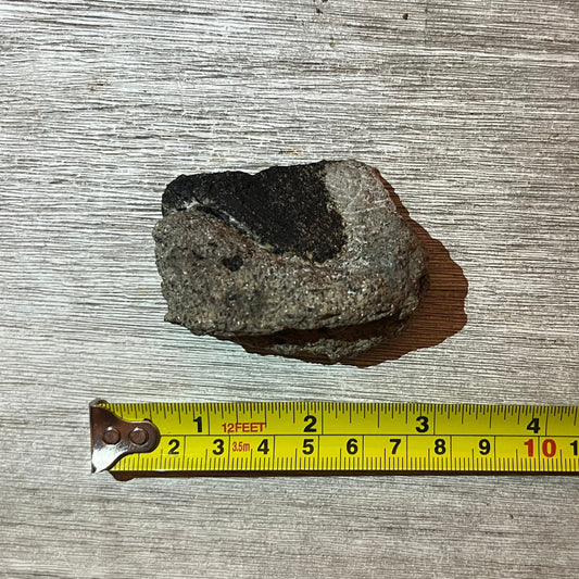 Camarasaurus? fossil bone fragment in matrix #5-007