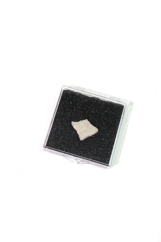 Saltasaurus Eggshell Fossil - Stemcell Science Shop