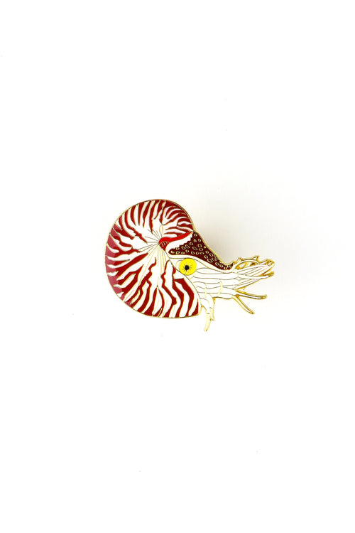 Chambered Nautilus Enamel Pin (Nautilus pompilius), Default Title at Stemcell Science Shop