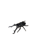 Giraffe Stag Beetle Enamel Pin (Prosopocoilus giraffa), Default Title at Stemcell Science Shop