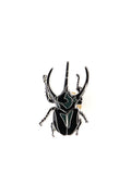 Chiron Beetle Enamel Pin (Chalcosoma chiron), Default Title at Stemcell Science Shop